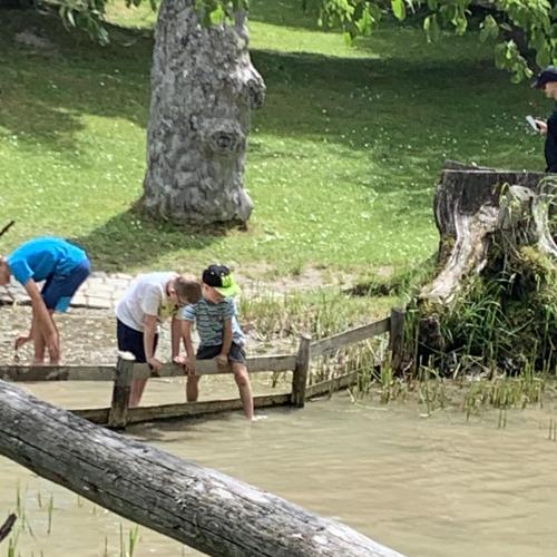 Spielende Kinder am Teich 