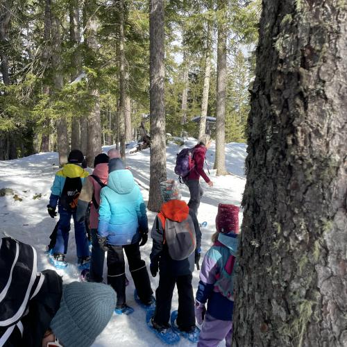 Kinder mit Schneeschuhen im Wald 