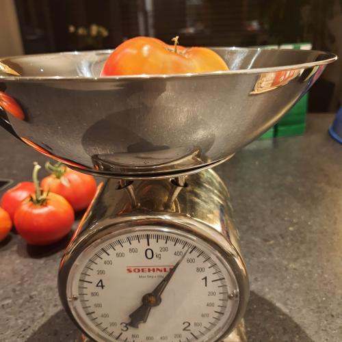 schwerste Tomate 8