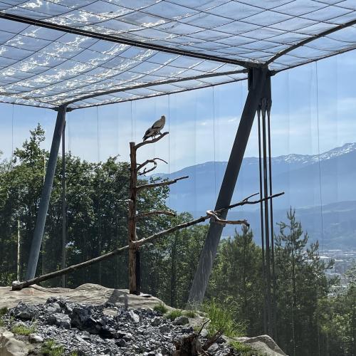 Alpenzoo