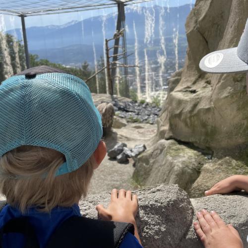 Alpenzoo