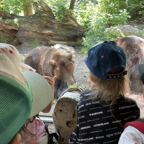 Alpenzoo