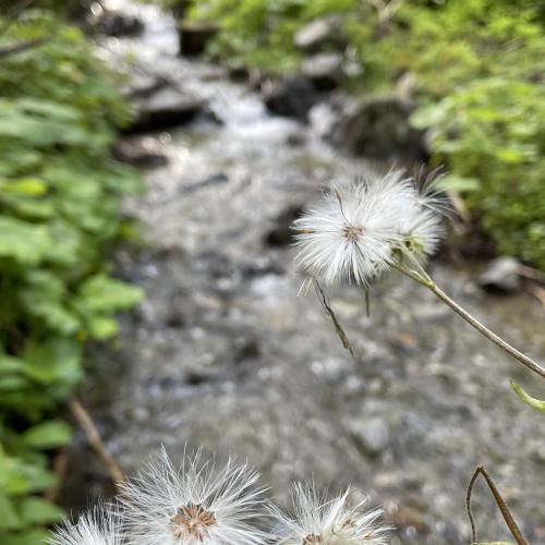 Wasserwunderwelt