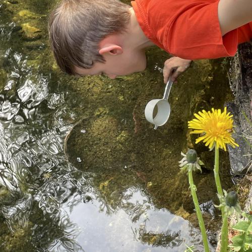 Wasserwunderwelt