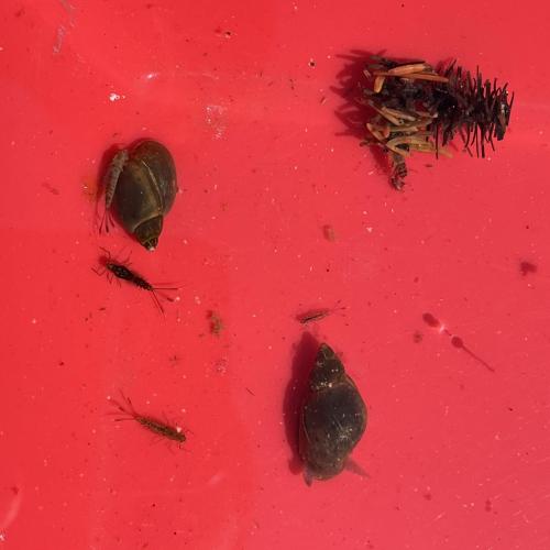 Wasserwunderwelt