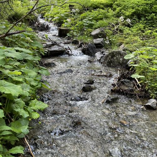 Wasserwunderwelt
