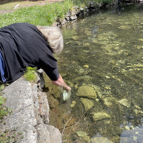 Wasserwunderwelt