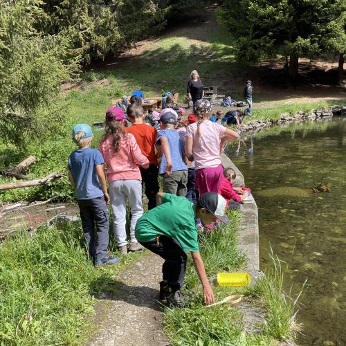 Wasserwunderwelt