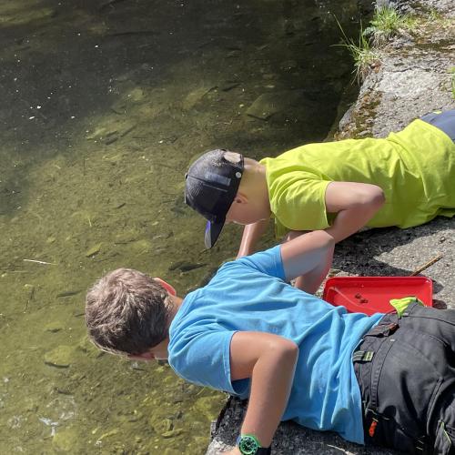 Wasserwunderwelt