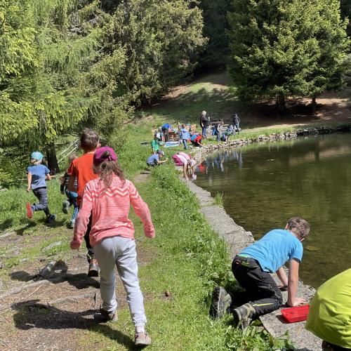 Wasserwunderwelt