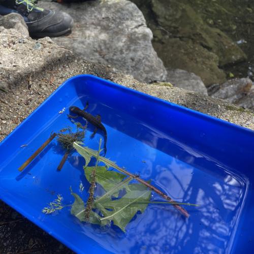 Wasserwunderwelt