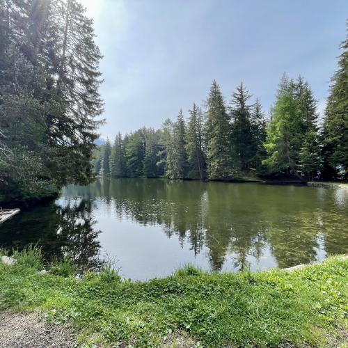 Wasserwunderwelt