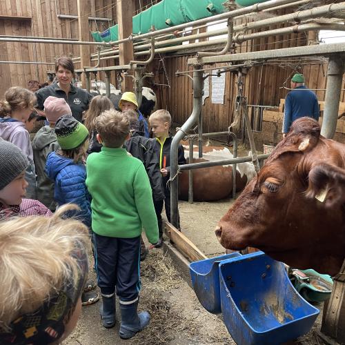 Kinder im Kuhstall 