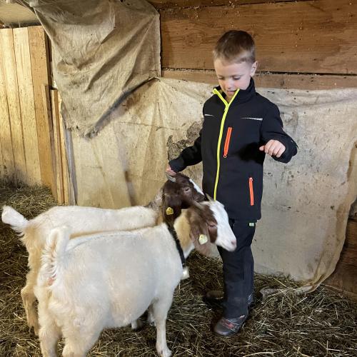 Kind im Ziegenstall