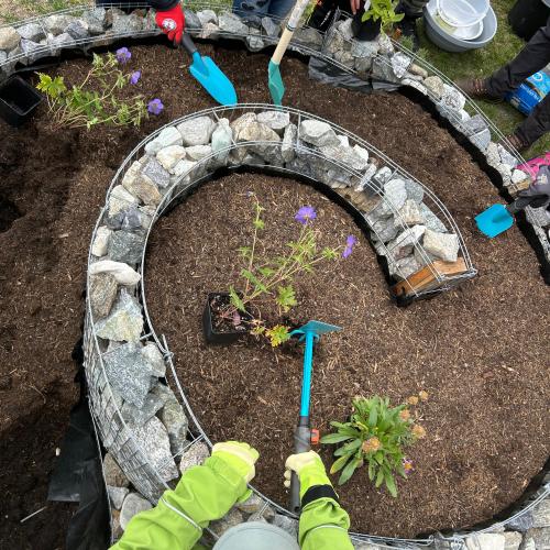 Schmetterlingsspirale 