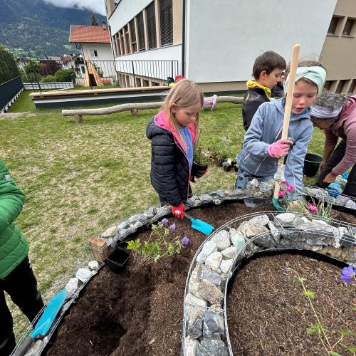 Schmetterlingsspirale 