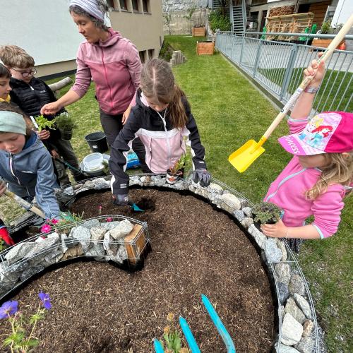 Schmetterlingsspirale 