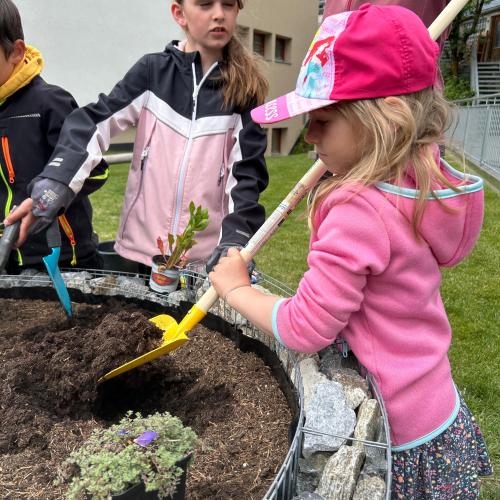 Schmetterlingsspirale 