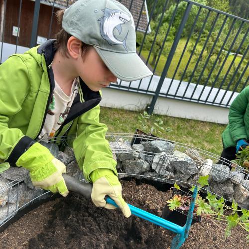 Schmetterlingsspirale 