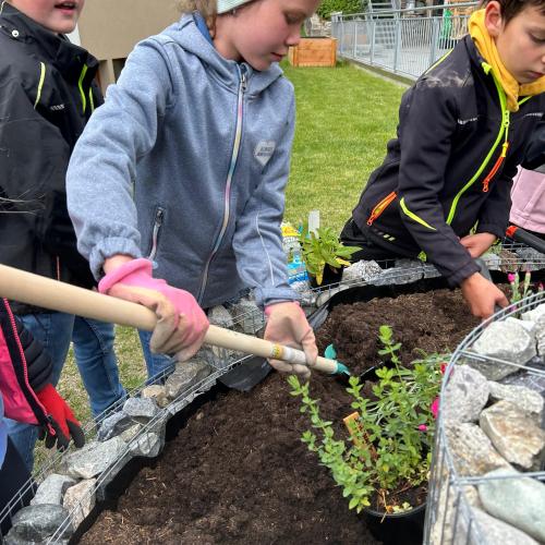 Schmetterlingsspirale 