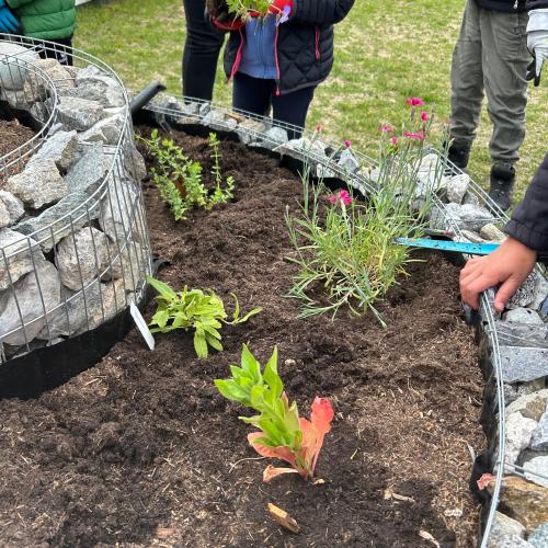 Schmetterlingsspirale 