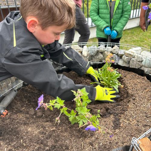 Schmetterlingsspirale 