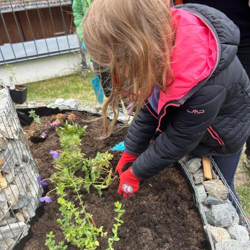 Schmetterlingsspirale 