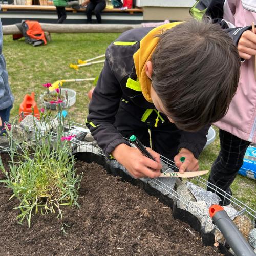 Schmetterlingsspirale 