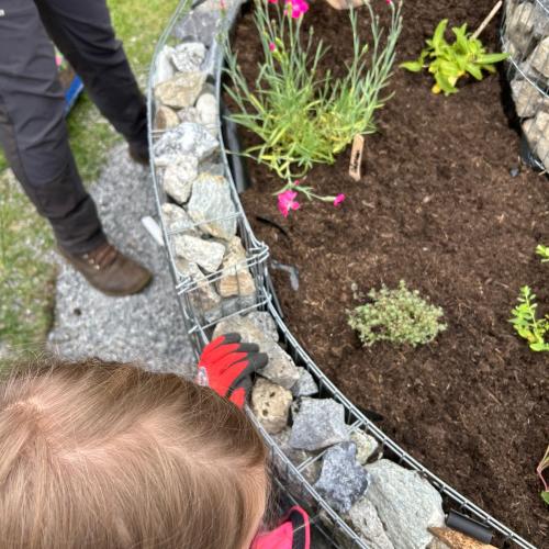 Schmetterlingsspirale 