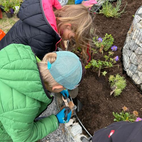 Schmetterlingsspirale 