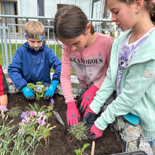 Schmetterlingsspirale 