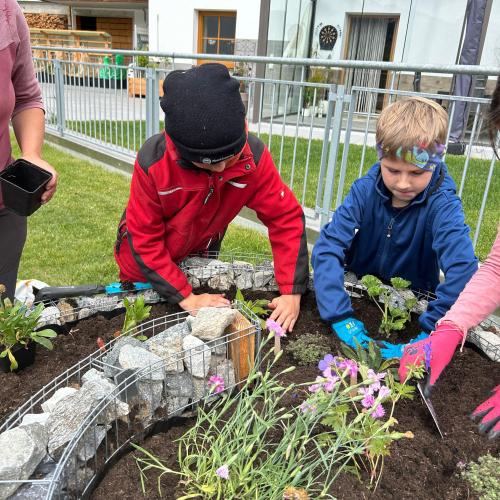Schmetterlingsspirale 