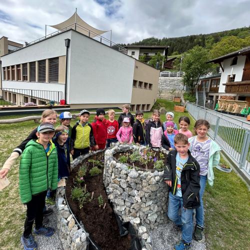 Schmetterlingsspirale 