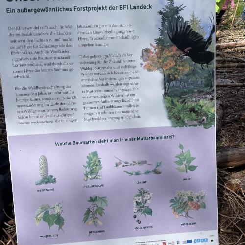 Infotafel Klimafitter Wald 