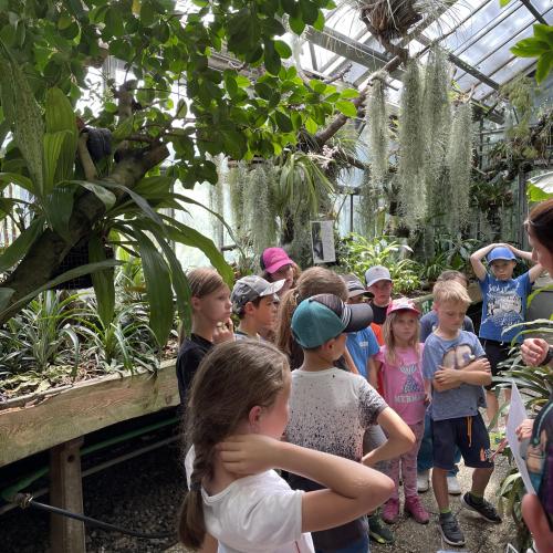 Füheung Botanischer Garten 