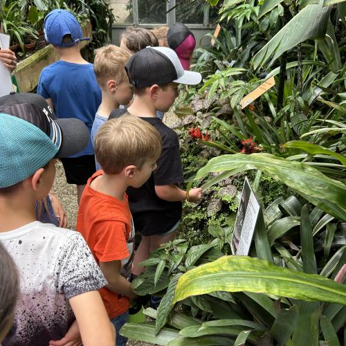 Botanischer Garten 