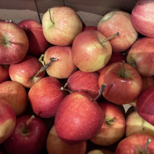 Mobilitätstag Jausenstation - Äpfel