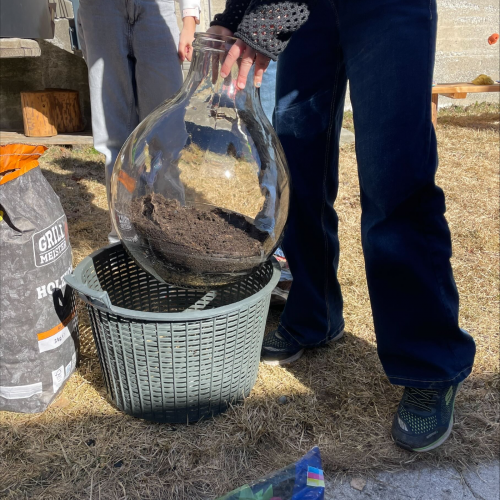 Flaschengarten anlegen 