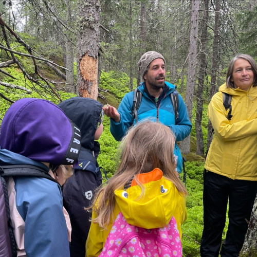 Wanderung durch den Wald 