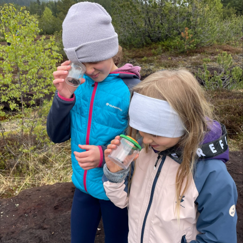 Kinder mit Becherlupe