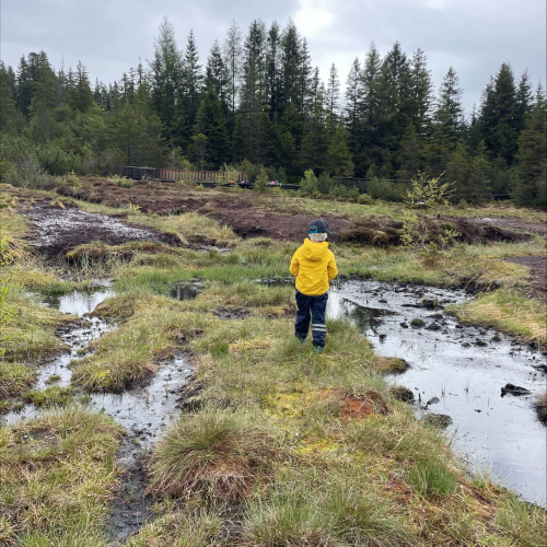 Kind auf Spinnensuche 