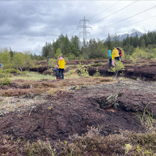 Kinder auf Tiersuche 