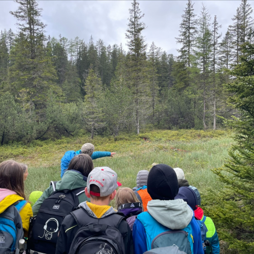 Wanderung durchs Moor