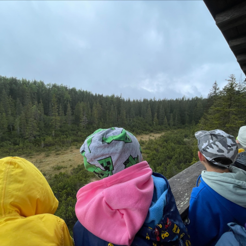 Ausblick vom Aussichtsturm