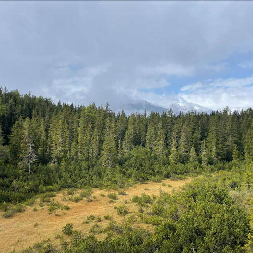 Ausblick vom Aussichtsturm