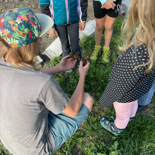 Workshop "Vom Acker auf den Teller"