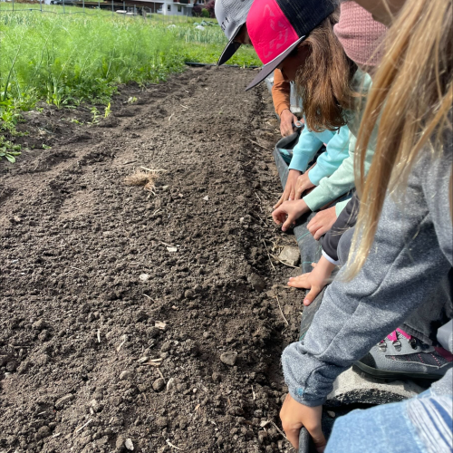 Workshop "Vom Acker auf den Teller" aussäen