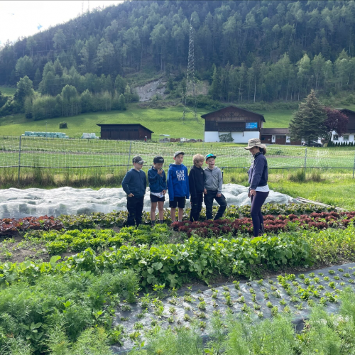 Workshop "Vom Acker auf den Teller" 