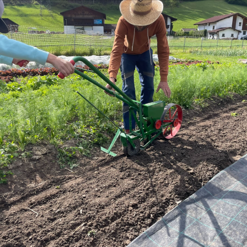 Workshop "Vom Acker auf den Teller" 