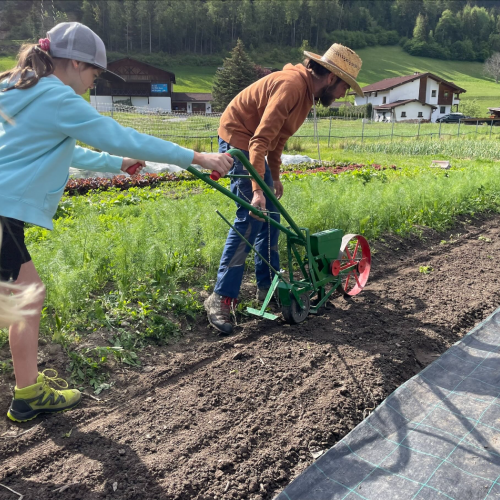 Workshop "Vom Acker auf den Teller"